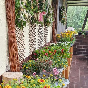 verkauf_balkon_1